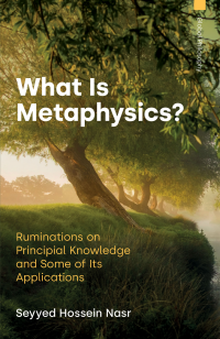  What Is Metaphysics?